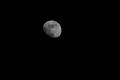 mond_fw_ap_02.jpg